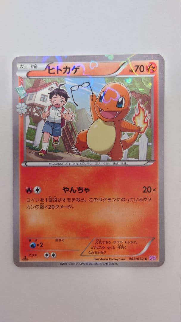 ヒトカゲ・リザード・リザードンカードセット