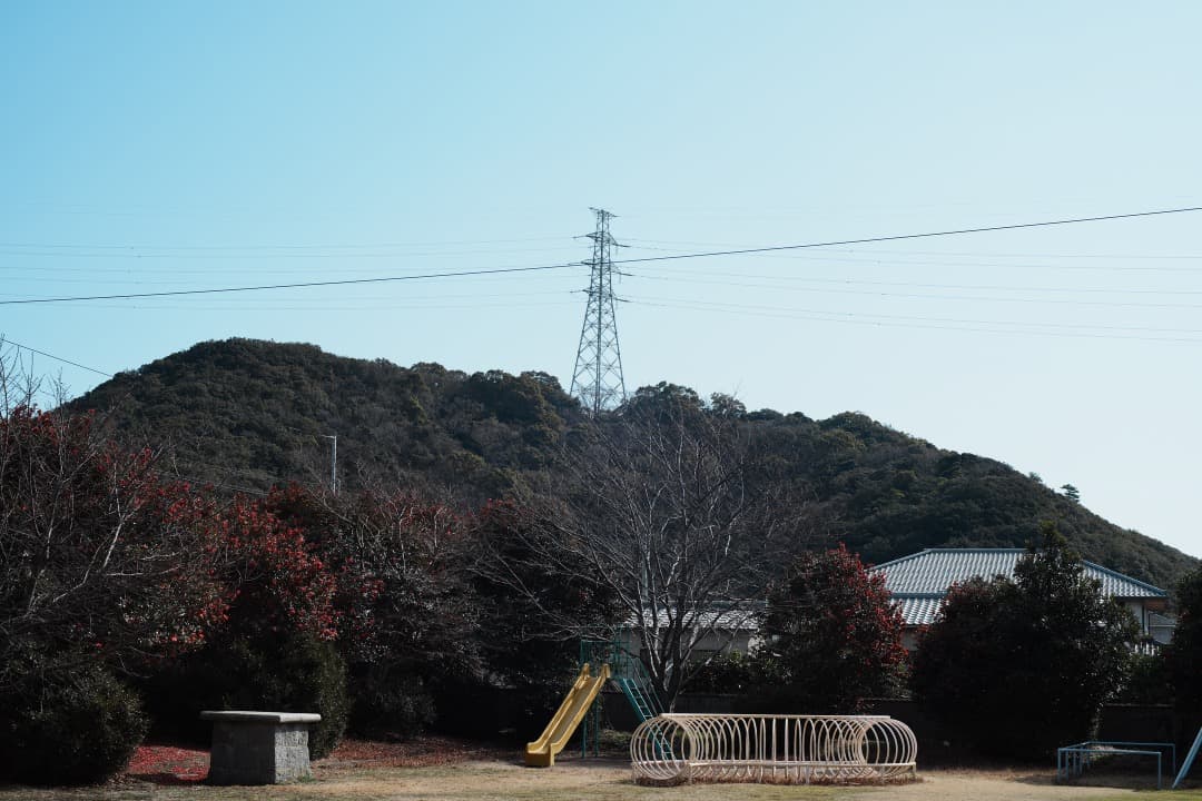 【美品】動作◎ オリンパス G.Zuiko auto 50mm F1.4 269