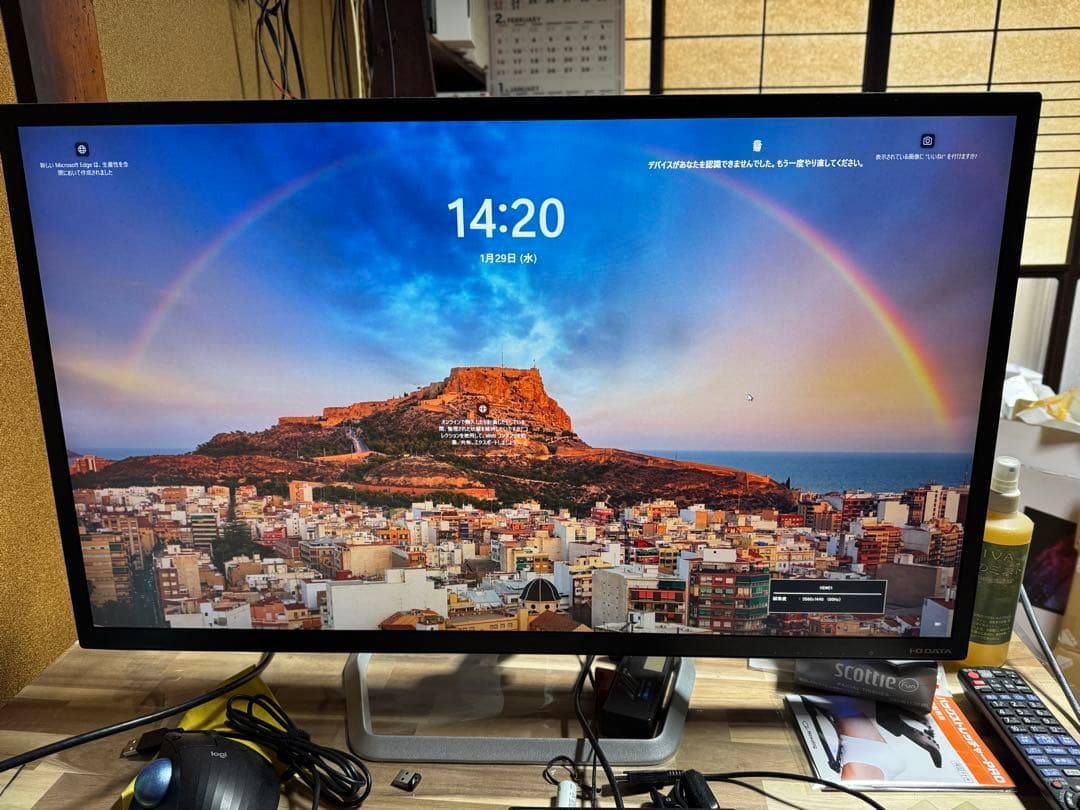 EX-LDQ321DB　モニター 31.5インチ