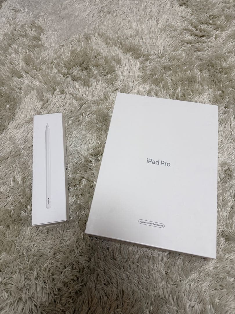 Apple iPad Pro 第2世代 11インチ + Apple Pencil