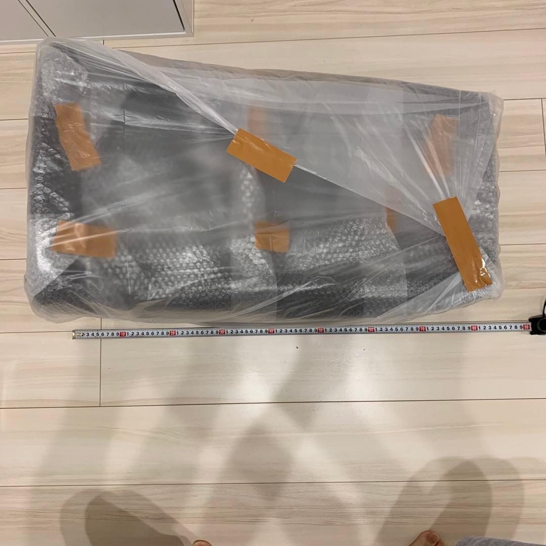 パタゴニアキャリー