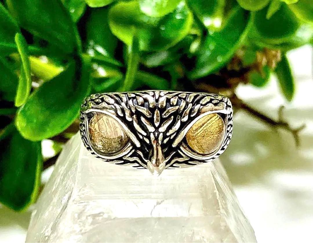 スマイル様　宇宙の彼方から舞い降りし奇跡の隕石　プレミアムギベオンフクロウリング