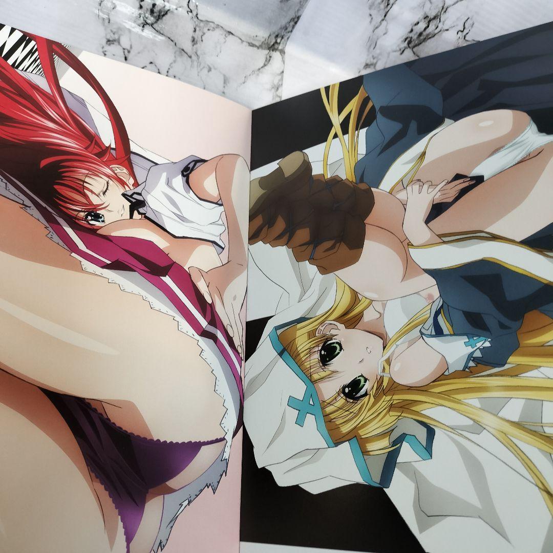 ハイスクールD×D NEW　ビジュアルコレクション 下巻　メガミマガジン