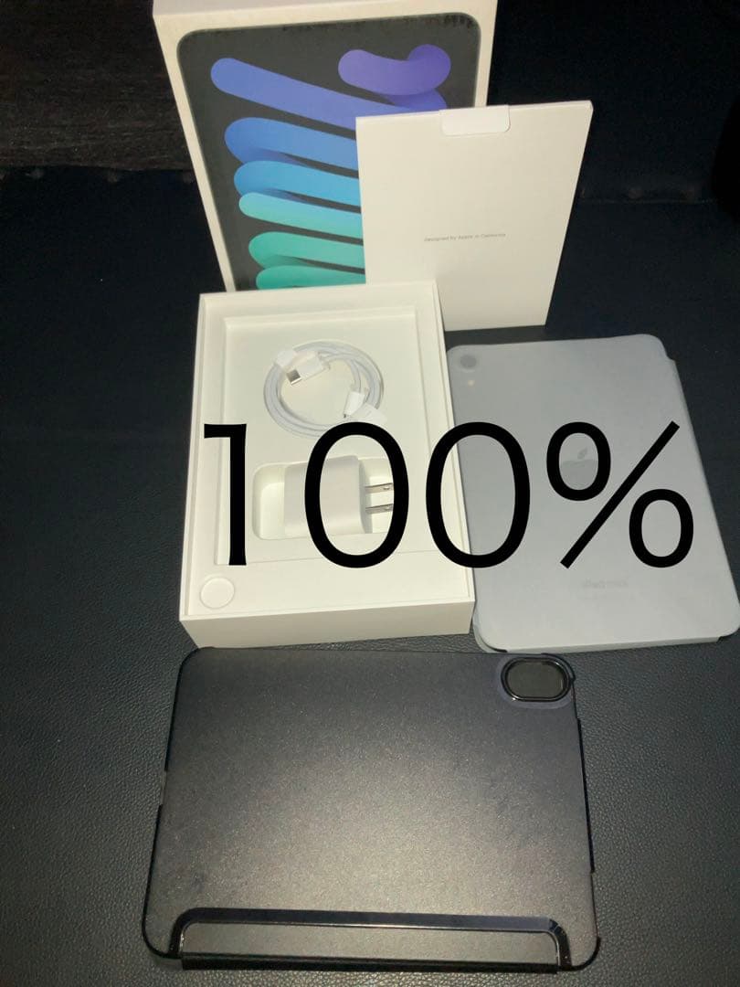 最新 iPad mini 7 A17 Pro 美品 充電器未使用 箱 ケース付き