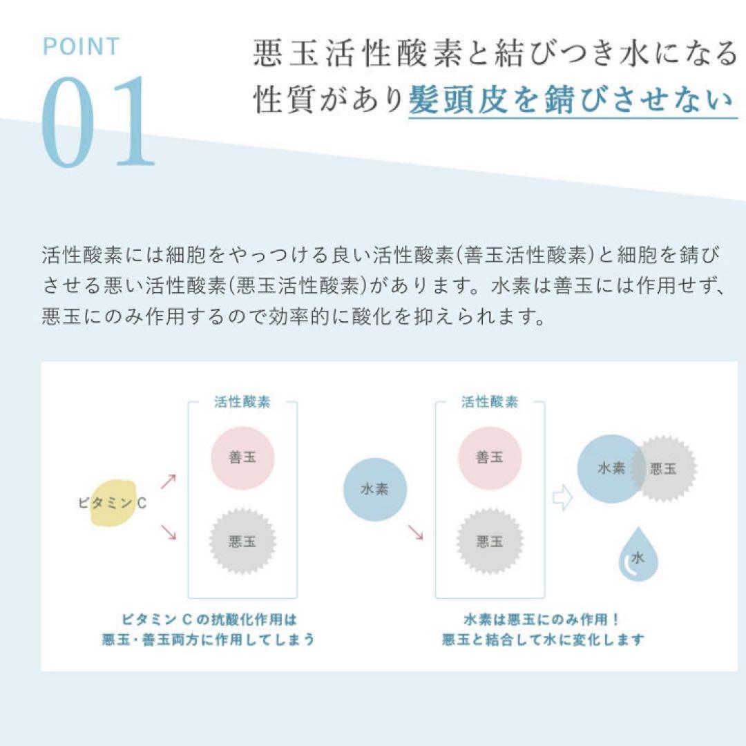 2026年始セール！ストリエクスチェンジプラス H2 シャンプー詰め替え！