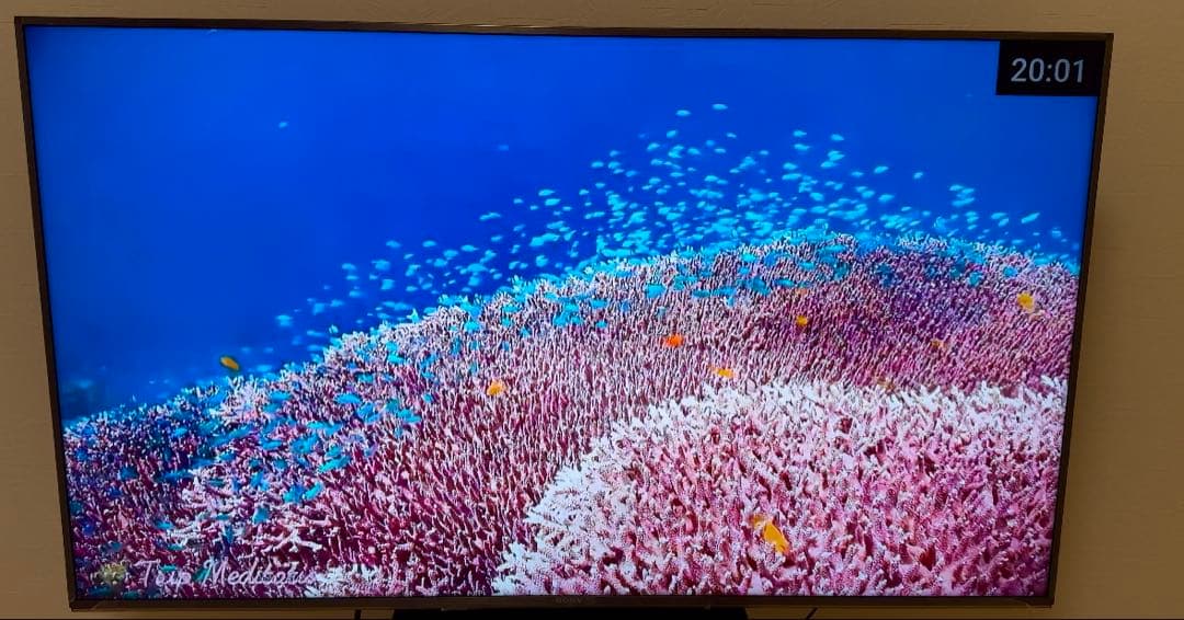 【最終値下げ】SONY 49インチ KJ-49X9500H 木製スタンド付き