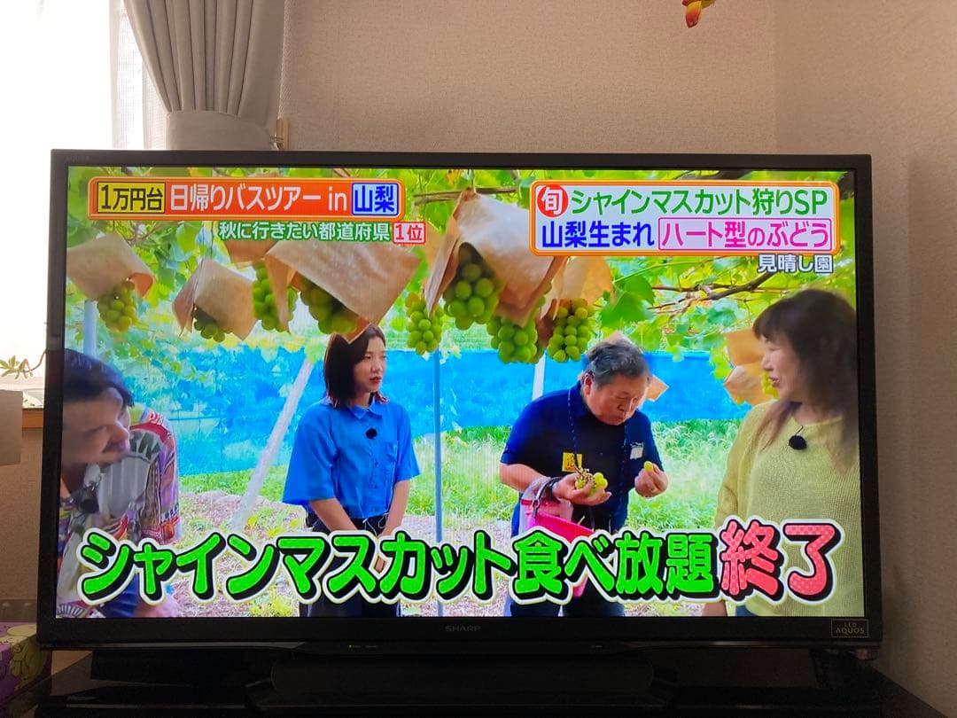 SHARP LC-46W9 液晶テレビ 46インチ