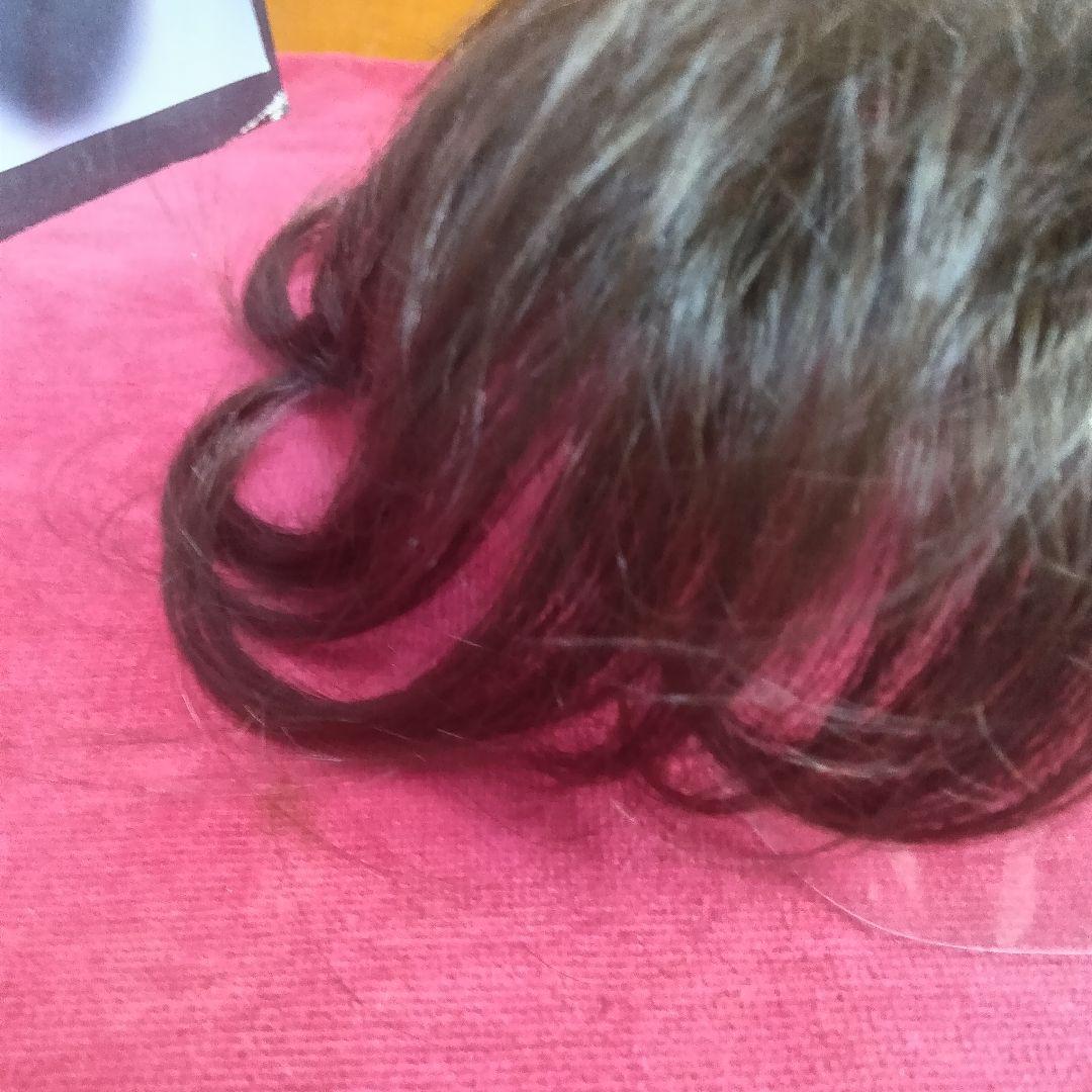 新品　未使用　　レオンカ　SF T309 YN ロング　３点止　パーマヘア