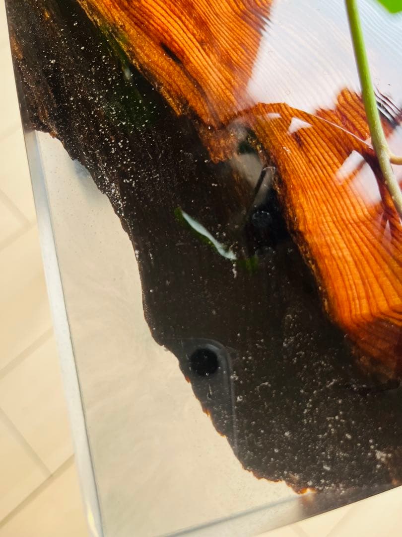 屋久杉　ソファテーブル　レジンテーブル　サイドテーブル