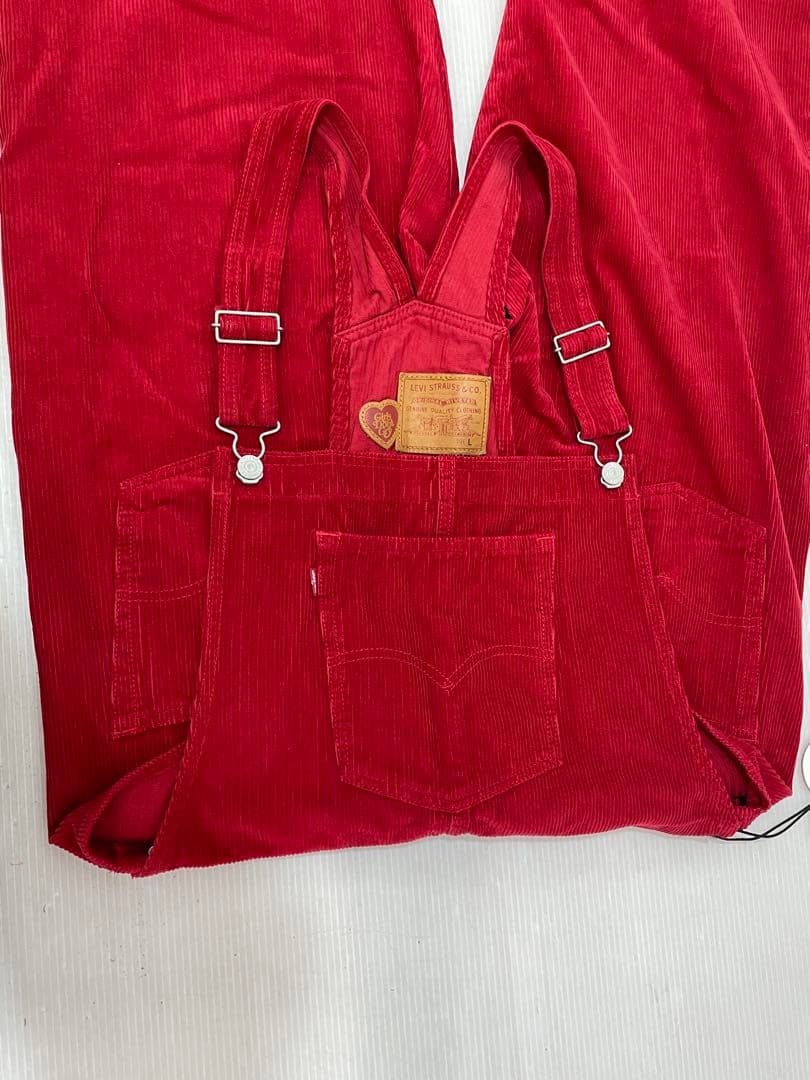 knmen133-0139 GirlsDon'tCry×Levisオーバーオール