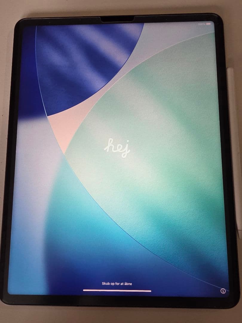 iPad Pro 12.9 第5世代セルラーsimフリー128GBペンケース付