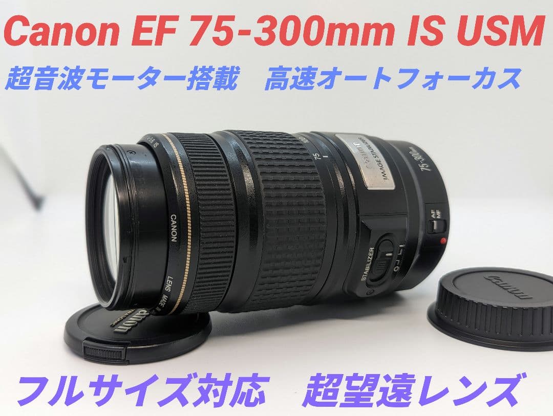 1月21日限定【超望遠レンズ】Canon EF 75-300mm IS USM