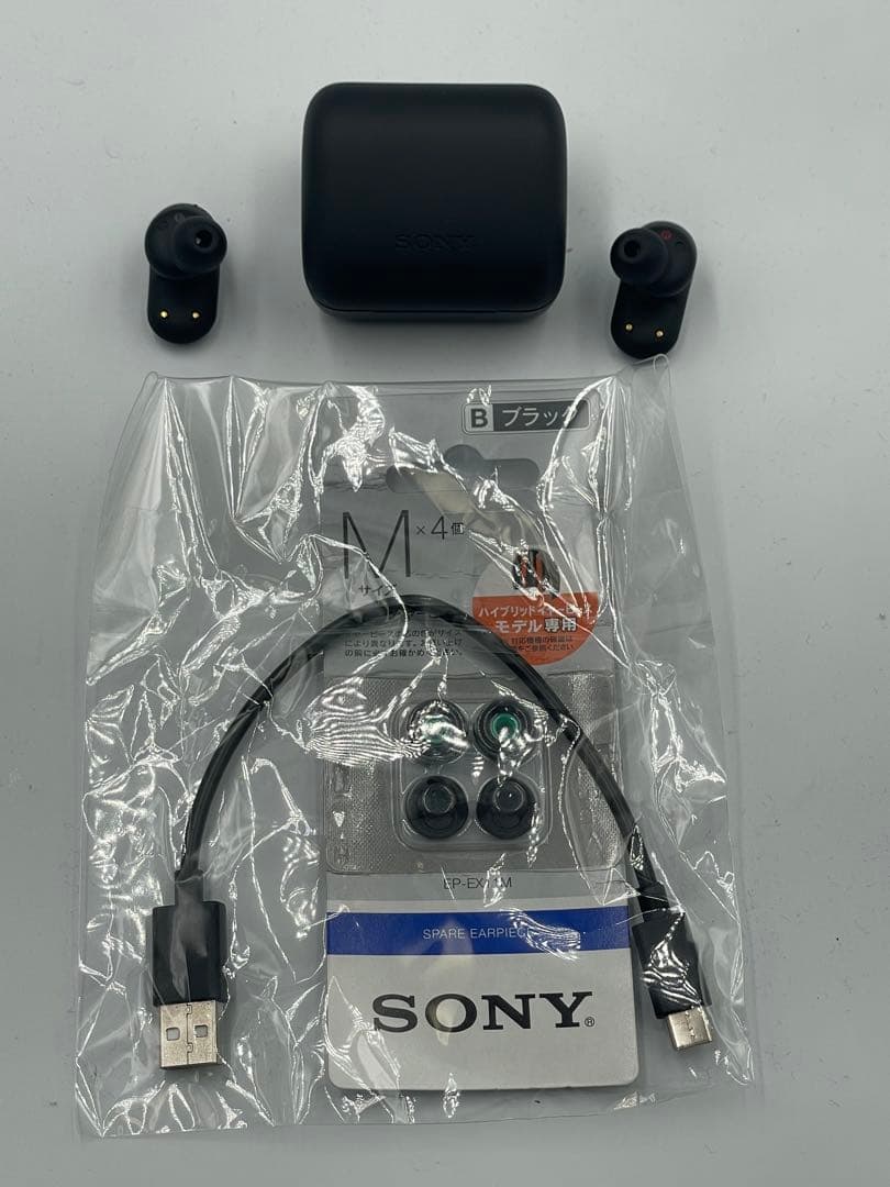 WF-G700N SONY ワイヤレスイヤホン ブラック 本体