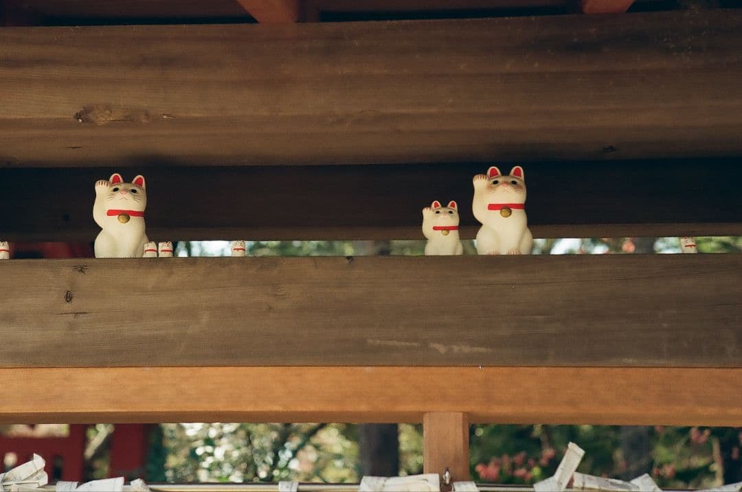 Canon P & Jupiter-8　完動品