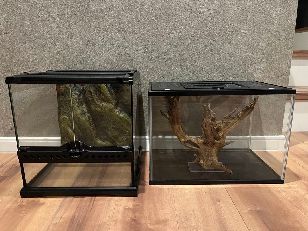 グラステラリウム3030& ガラスケース&カバーセット 400High&温湿度計