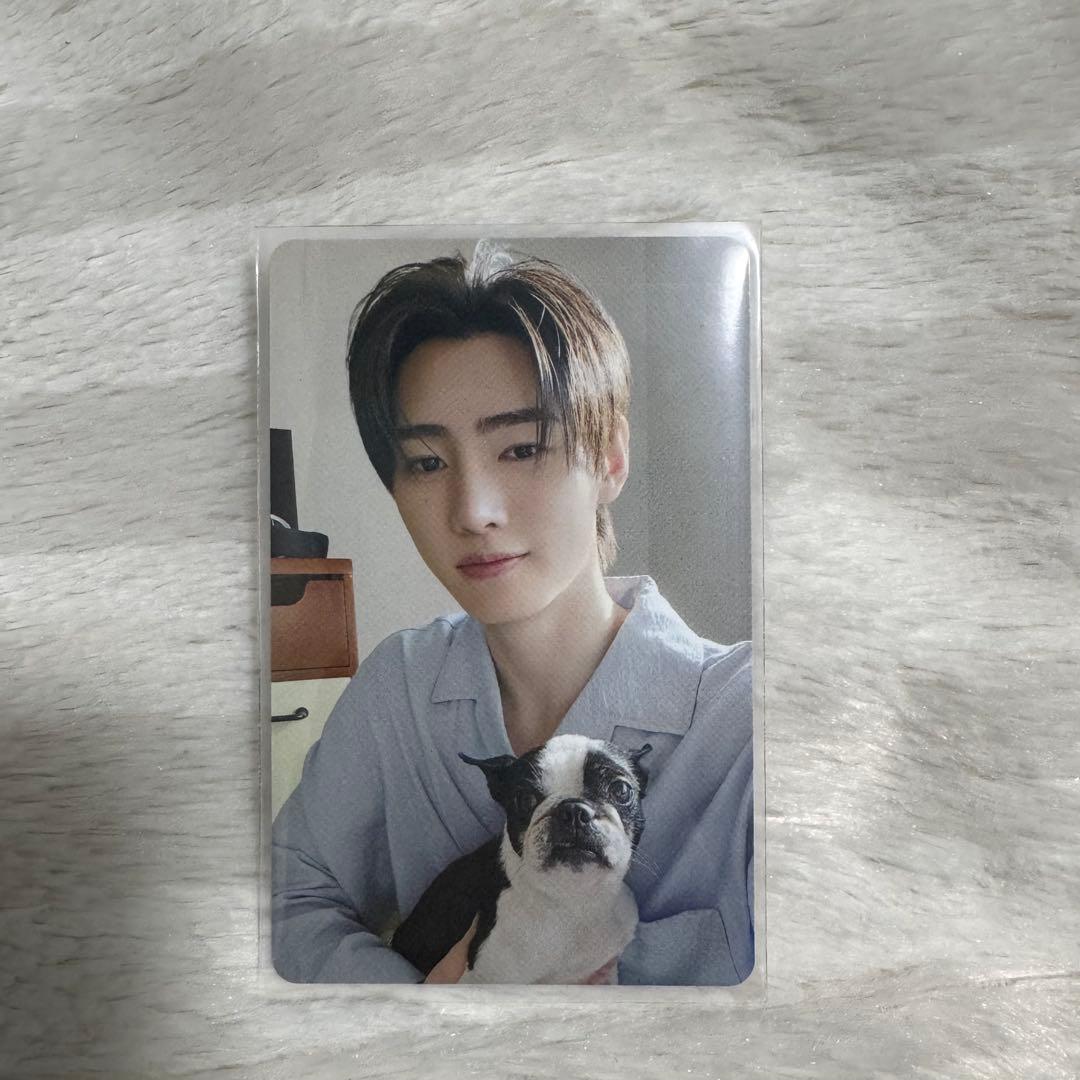 ENHYPEN トレカ ソンフン