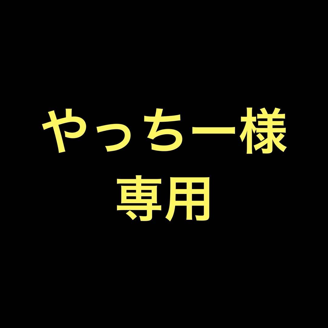 DENON DSW-5L アクティブサブウーファー
