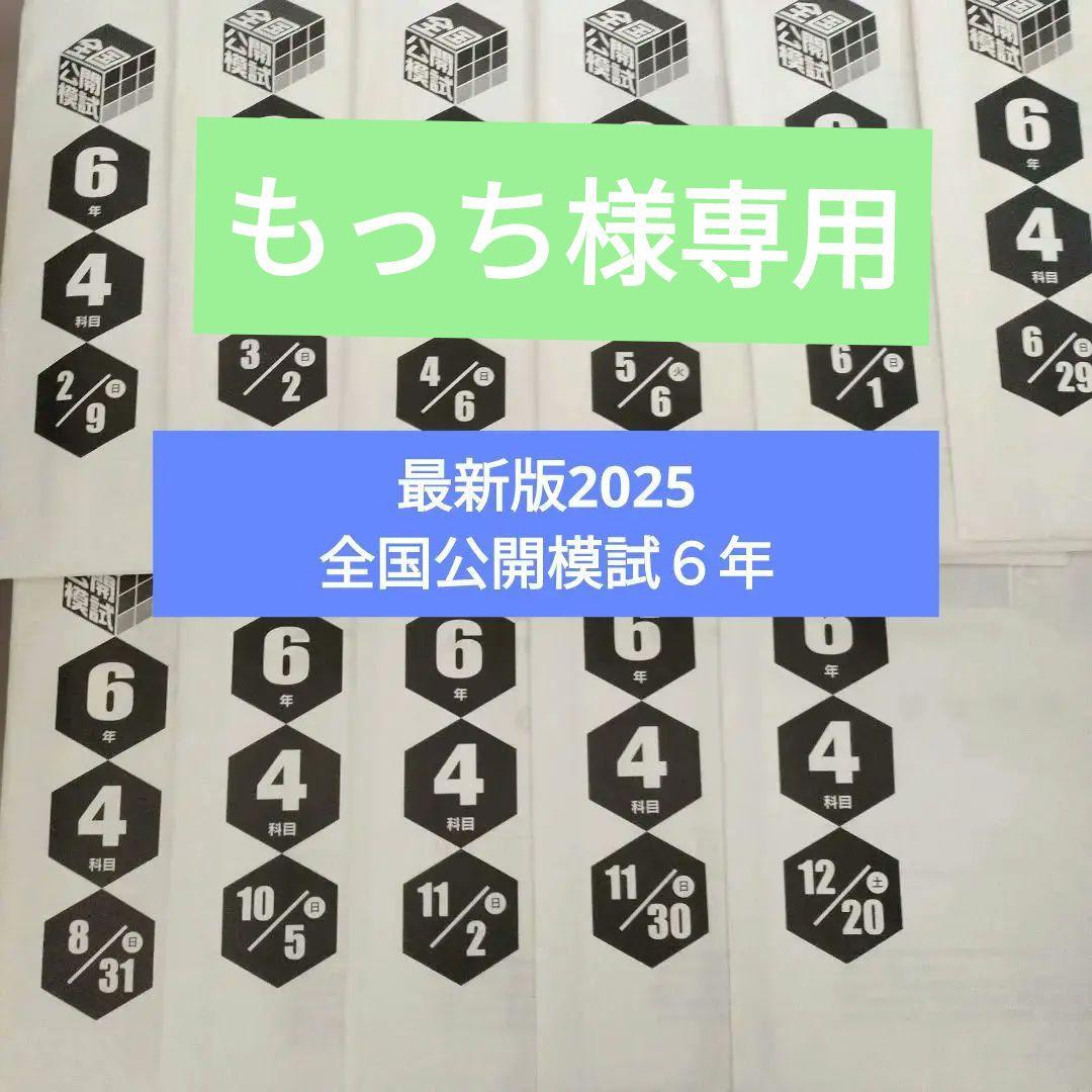 2025年　日能研　全国公開模試６年１１回分(１年分)➕️春期夏期テスト➕️前期