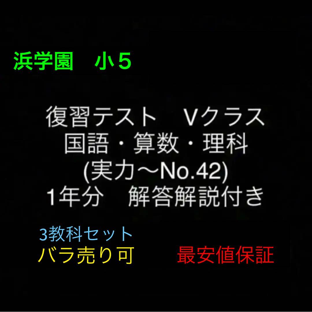浜学園　小5　国語算数理科　Vクラス　復習テスト　実力〜No.42　解答解説付き