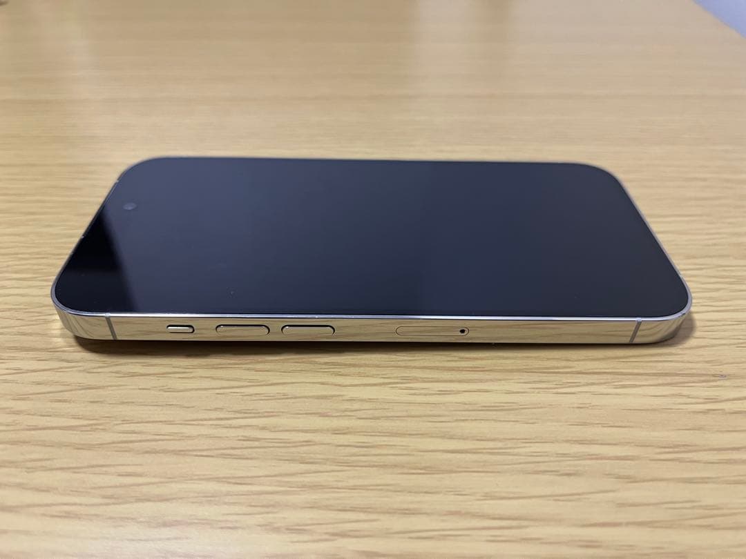 Apple iPhone 14 Pro シルバー 本体 256GB