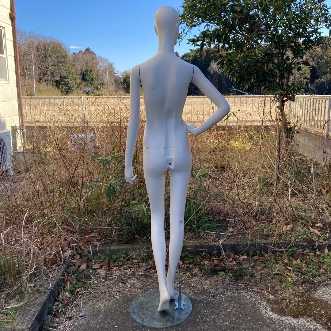 パールイデア パール マネキン レディース 全身 トルソー