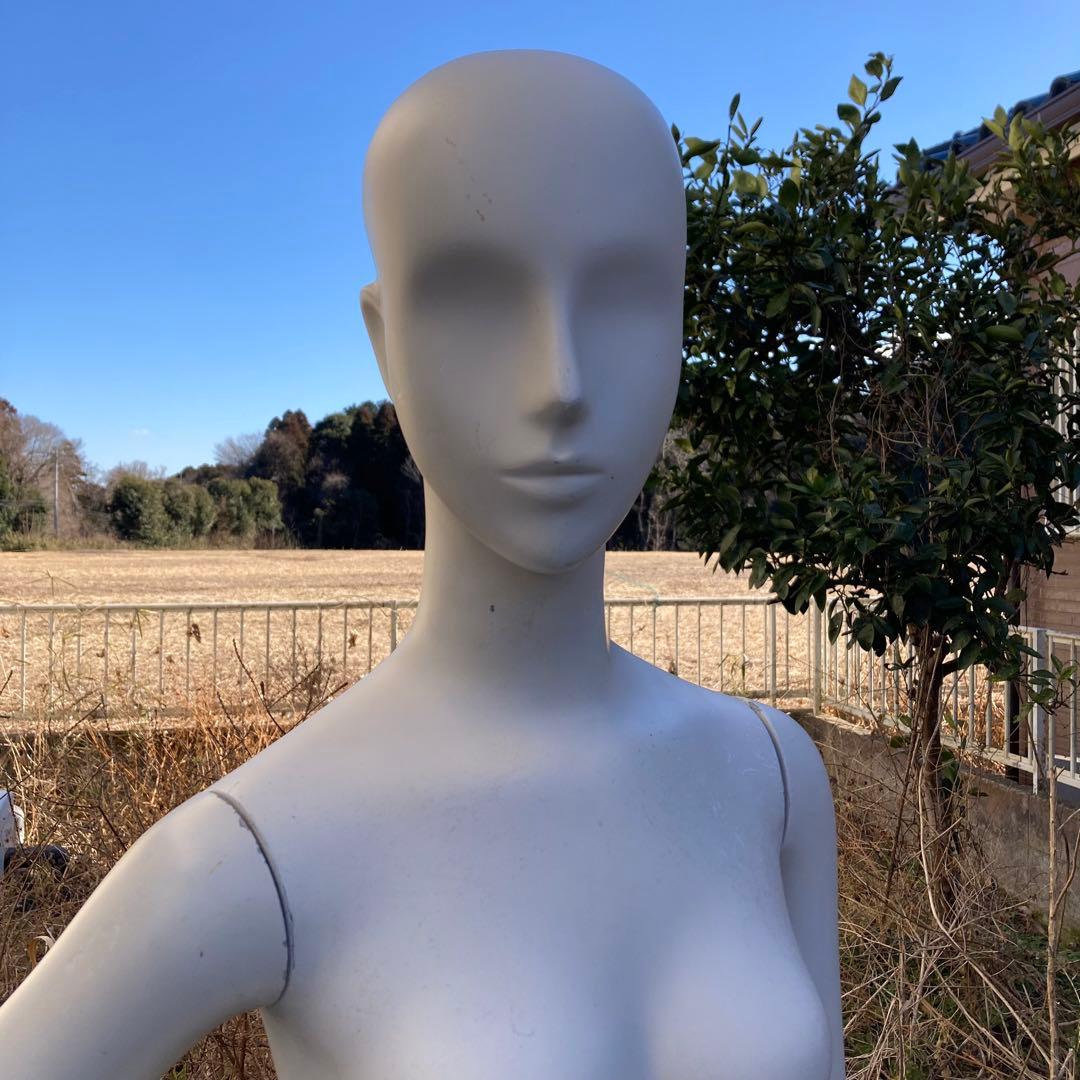 パールイデア パール マネキン レディース 全身 トルソー