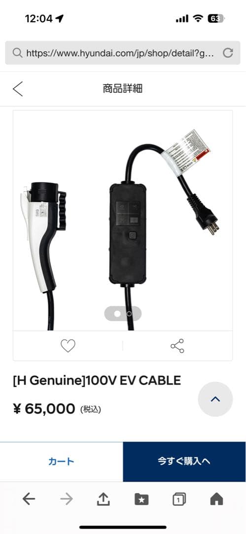 100V EV車　電気自動車 hyundai 充電器 100V 充電　ケーブル