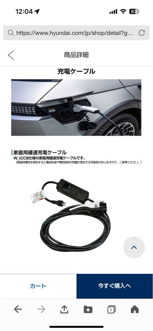 100V EV車　電気自動車 hyundai 充電器 100V 充電　ケーブル