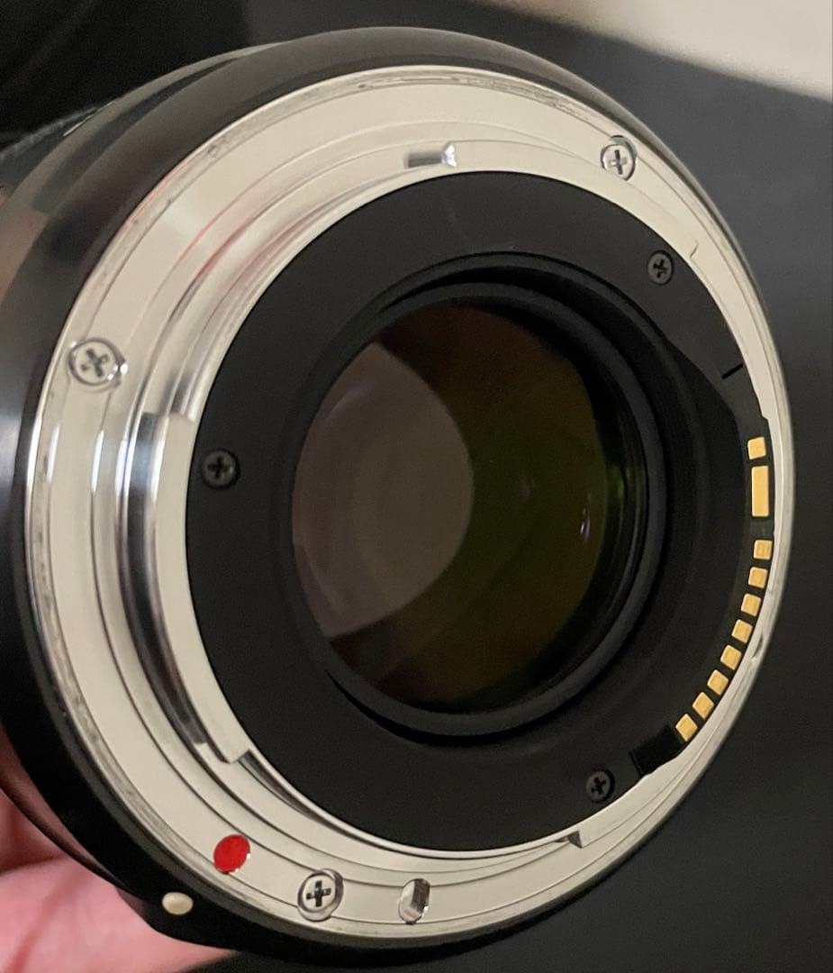 SIGMA 30mm F1.4 Art Canon用