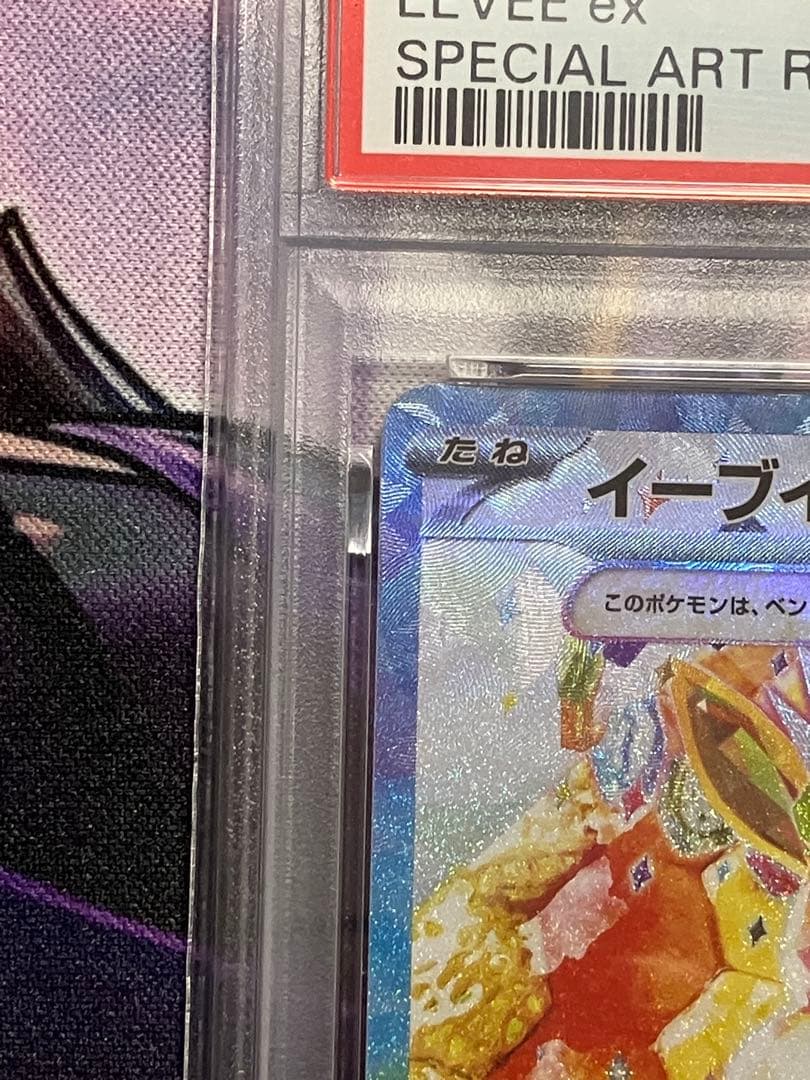 ポケカ　イーブイex psa10 SAR