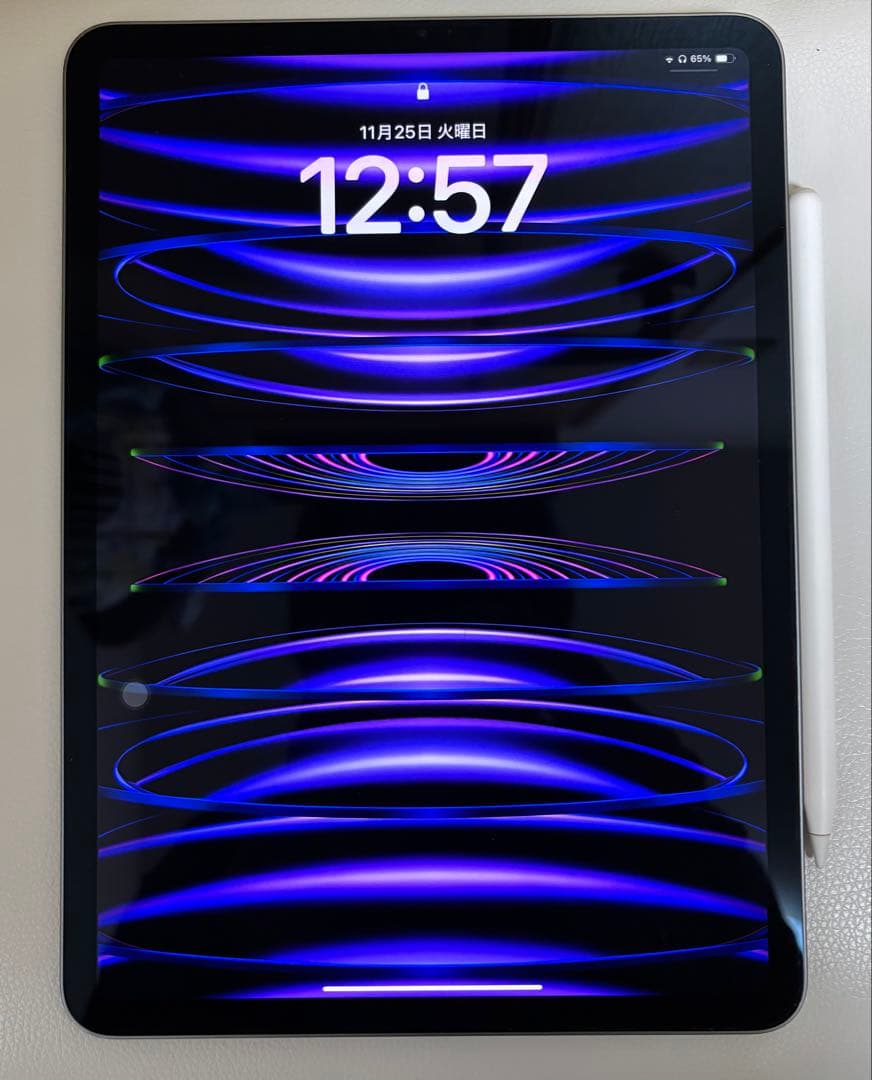 iPad Pro 11インチ　第４世代 Apple Pencil2付き