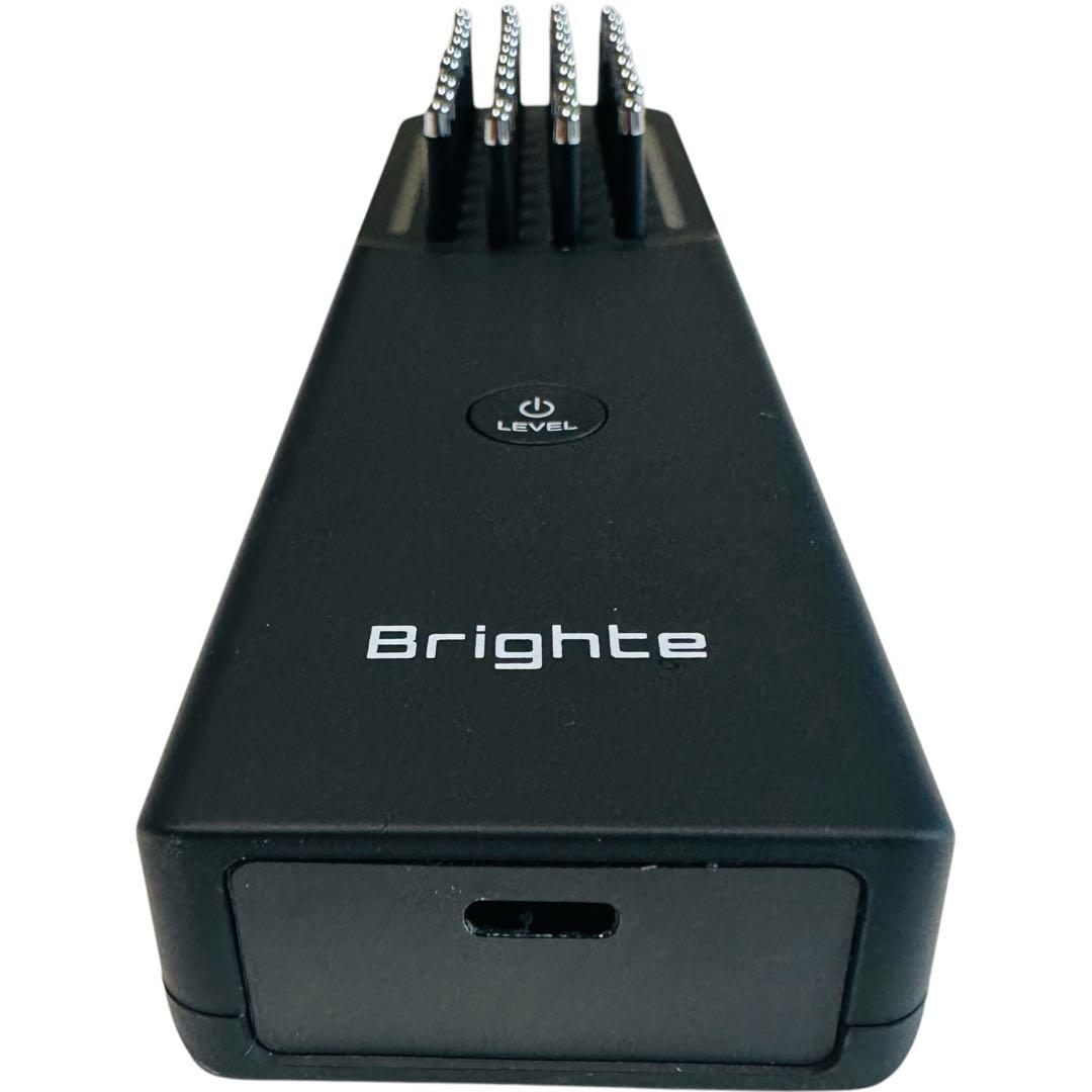 【極美品】Brighte ELEKI BRUSH（ブライト エレキブラシ） 美顔