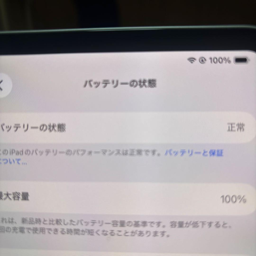 iPad Pro(M5)11インチ　256GB充電器付