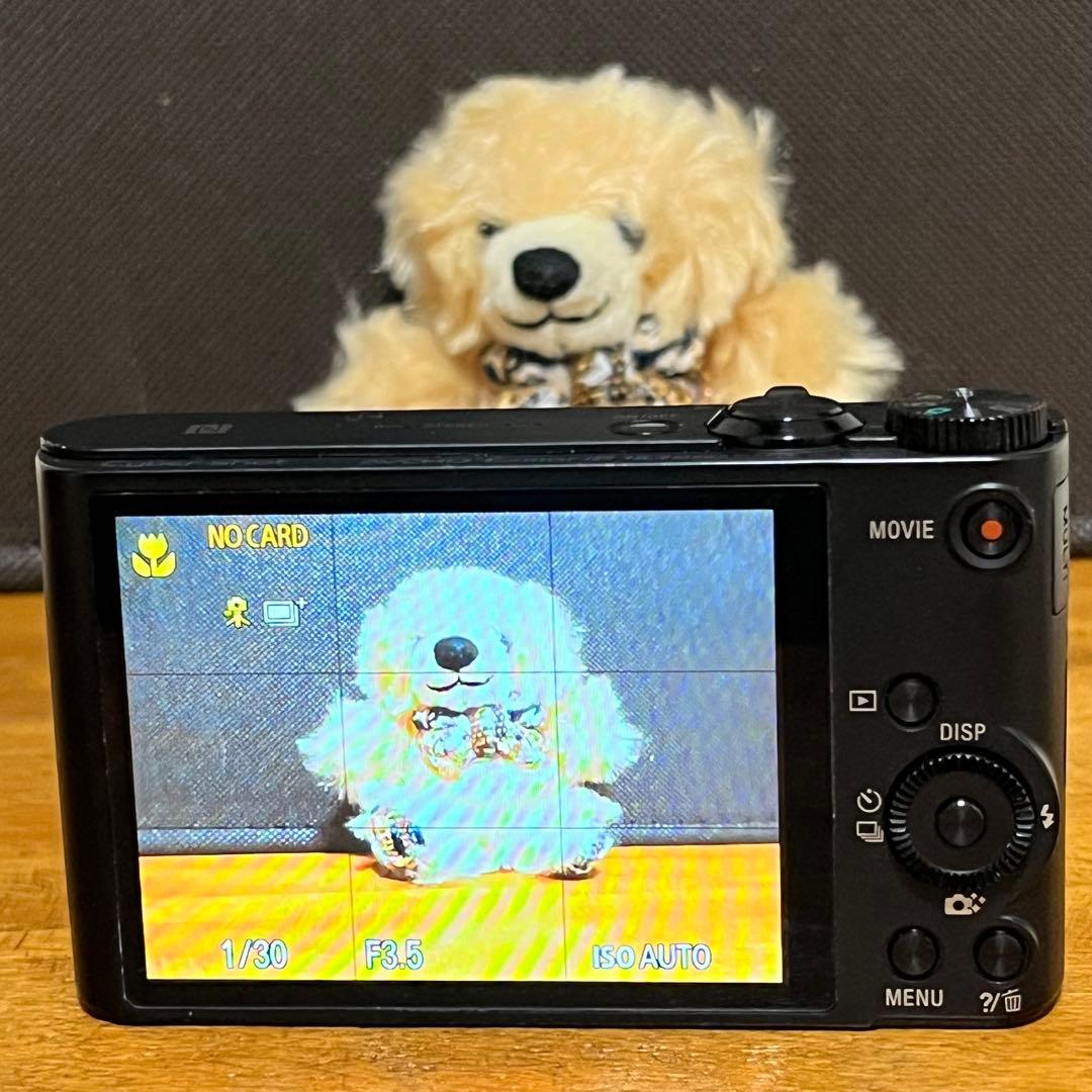 Sony DSC-WX350 20倍光学ズーム コンパクトカメラ（021）