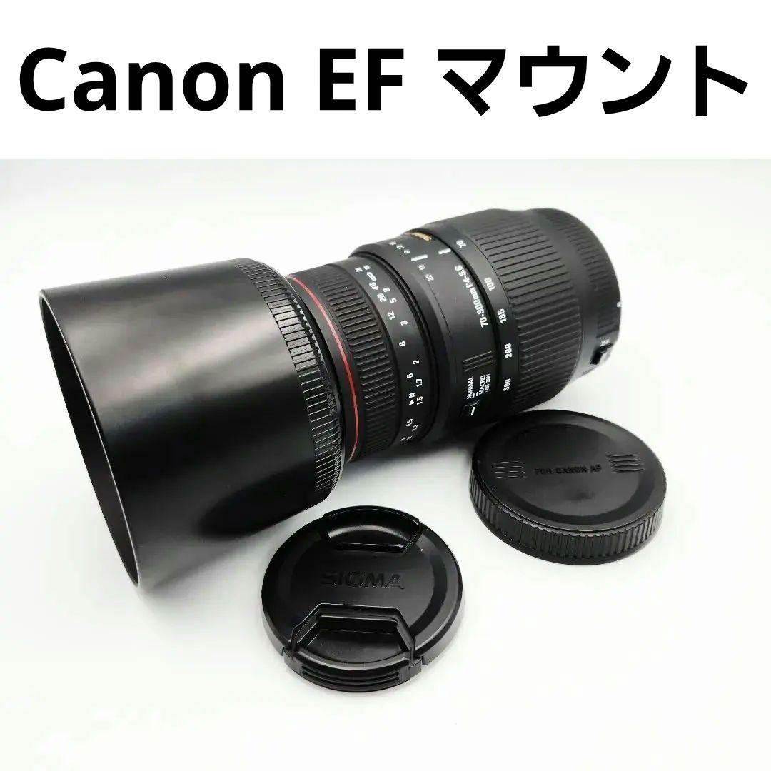 SIGMA APO DG 70-300mm 一眼レフ ズームレンズ カメラ