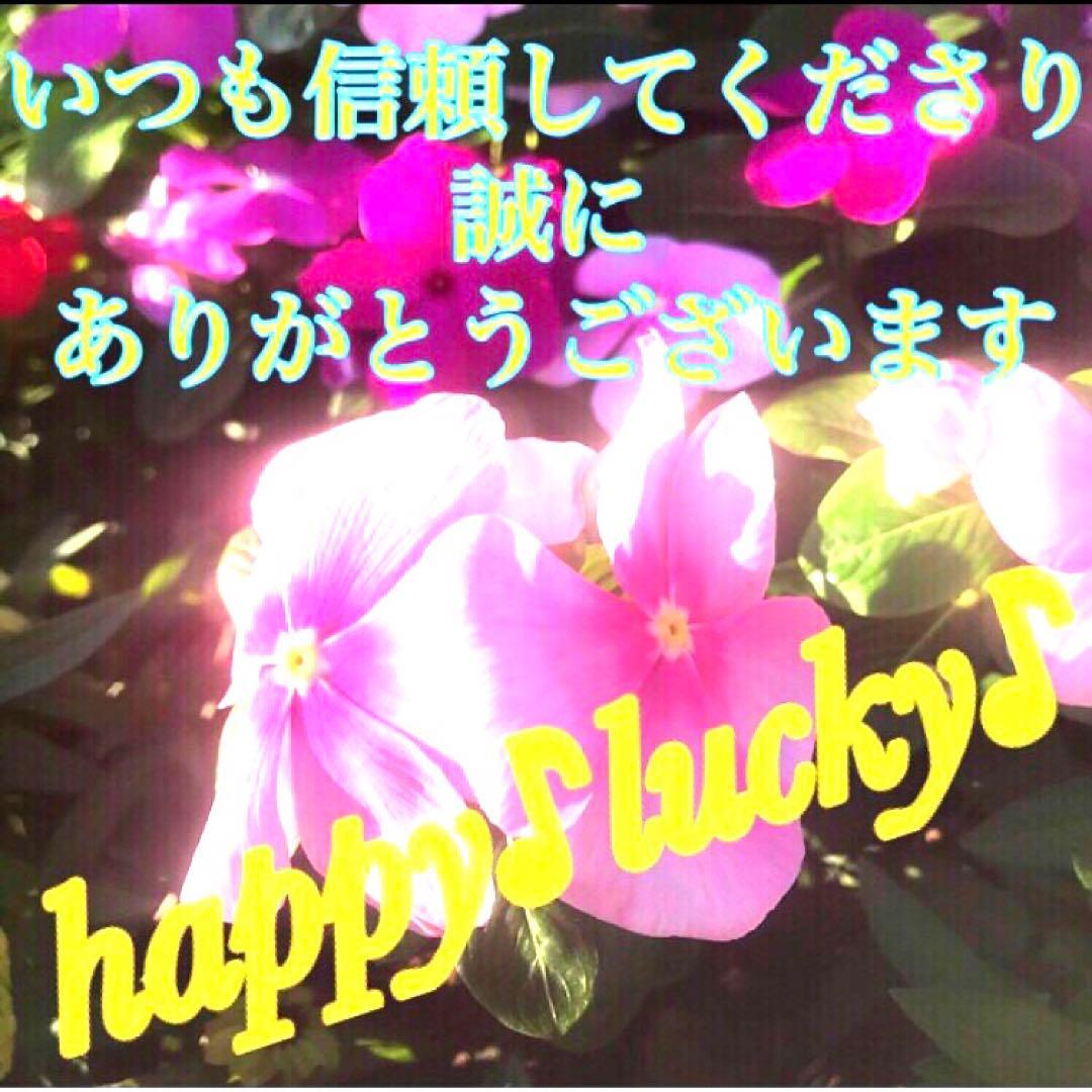 秘符(中松屋)精神　精力　病気　男性諸病　治癒　金運　大金運　護符　霊符