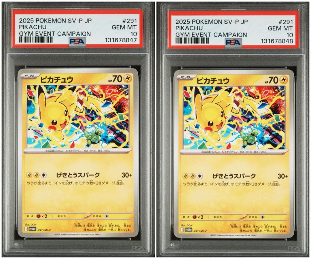 ポケモンカード　ピカチュウ　ジムプロモ　291/SV-P