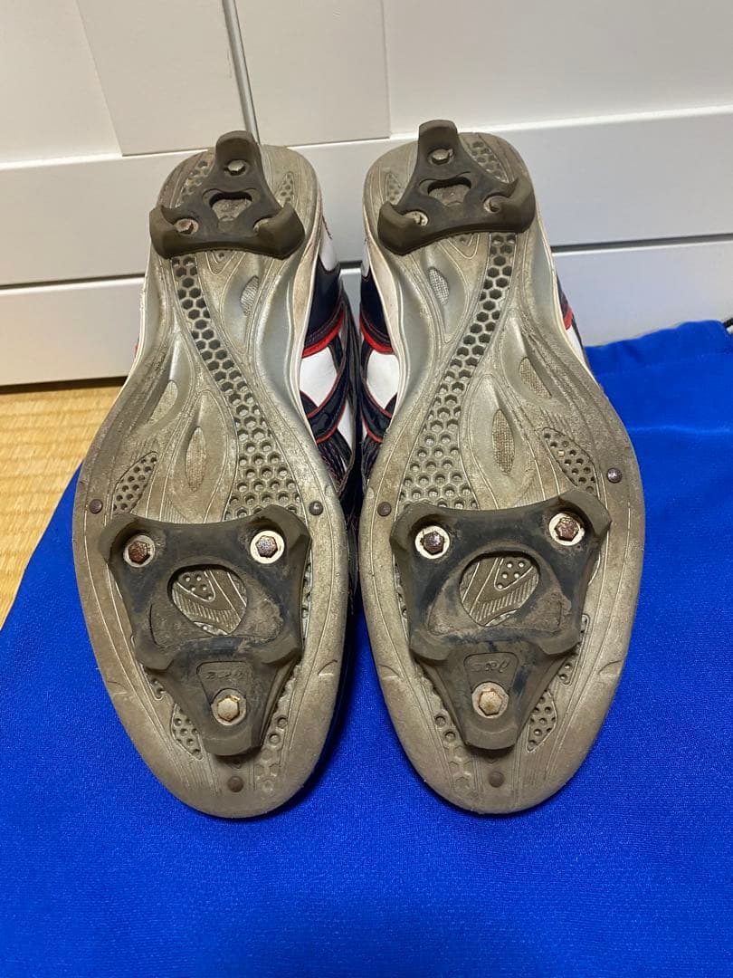 ⚠️かい⚠️ asics GOLDSTAGE セミオーダー27.5cm