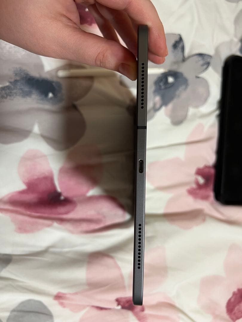 iPad Pro 11-inch (第1世代) 256GB Wi-Fi + 4G