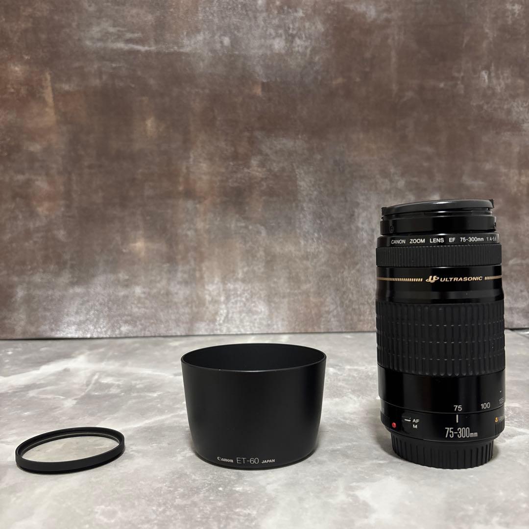 【美品・完動品】Canon EF 75-300mm f/4-5.6 USM
