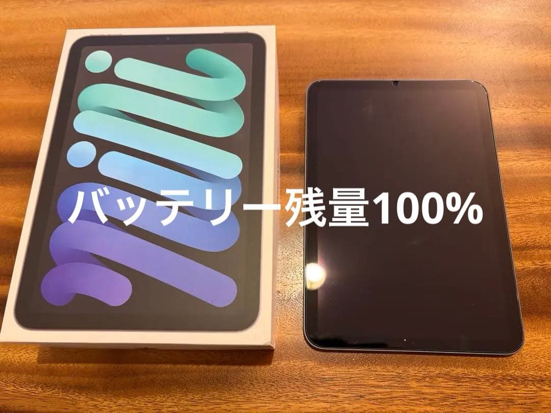 Apple iPad mini 64GB スペースグレー 本体