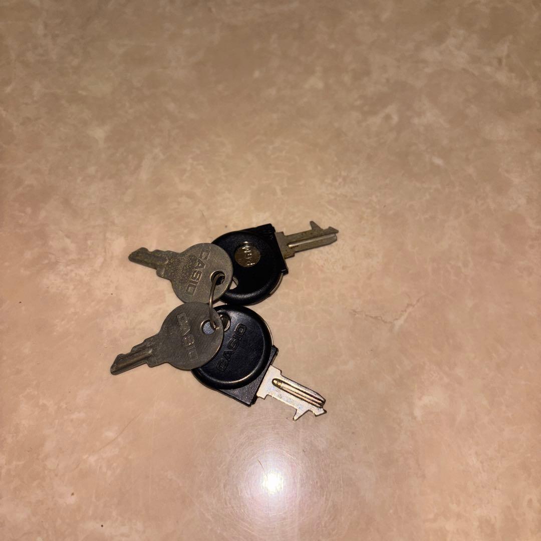 CASIOレジスターSE-S20 電子店名スタンプ付き