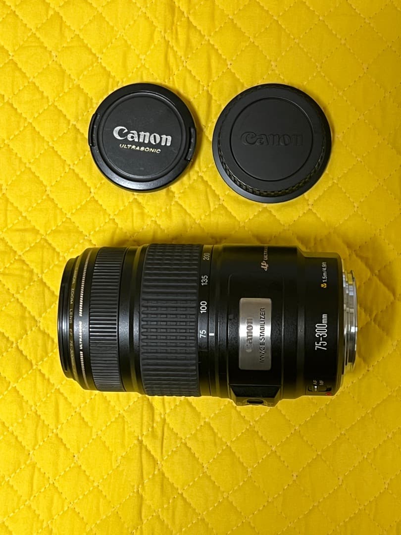 レンズ(ズーム) Canon EF 75-300mm F4-5.6 IS SUM
