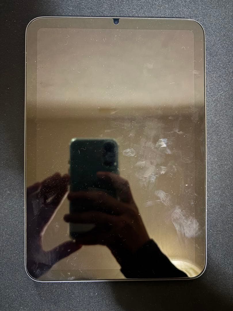 ピ*様 Apple iPadminiスペースグレー 本体