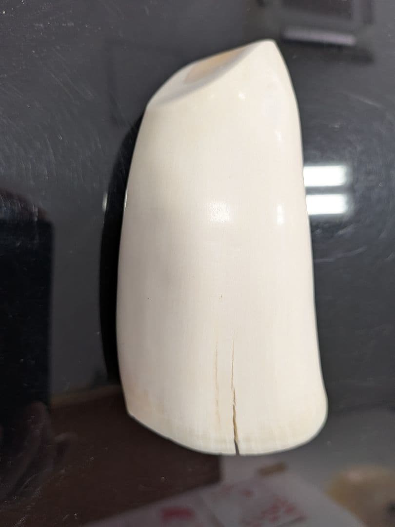 田中野夫ページ　マッコウ鯨歯