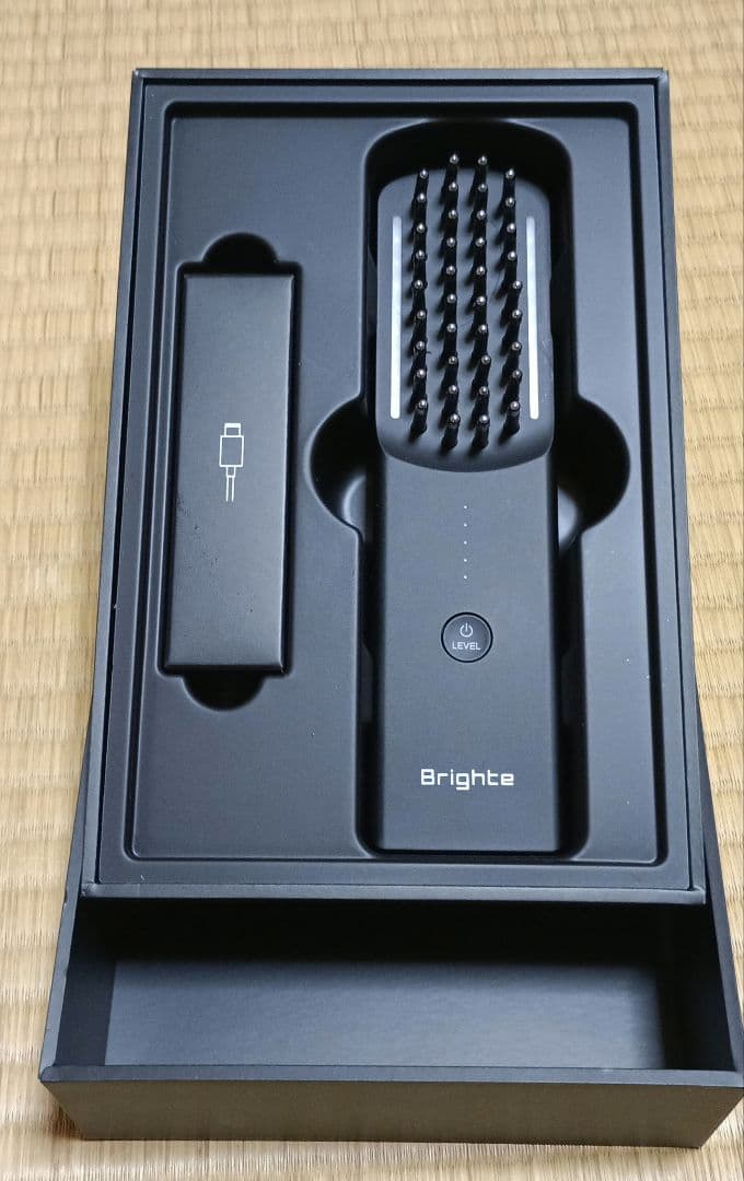 Brighte ELEKI BRUSH ブライト エレキブラシ 美顔器