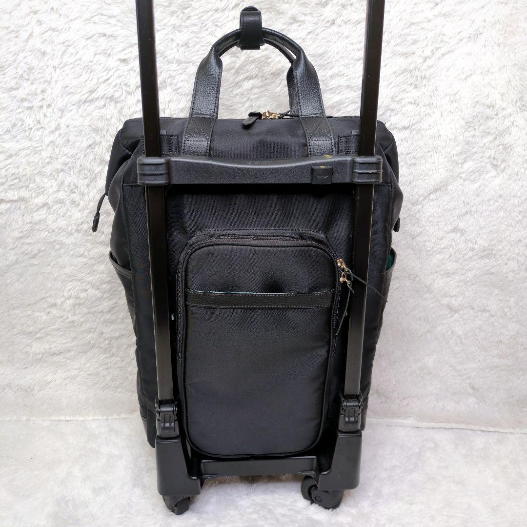 SWANY キャリーバッグ ショッピングカート 横押しカート