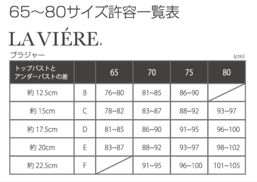 新品未使用　ラヴィエール　ヴェールブルー　D65 四段ホック美姿勢特許ブラジャー