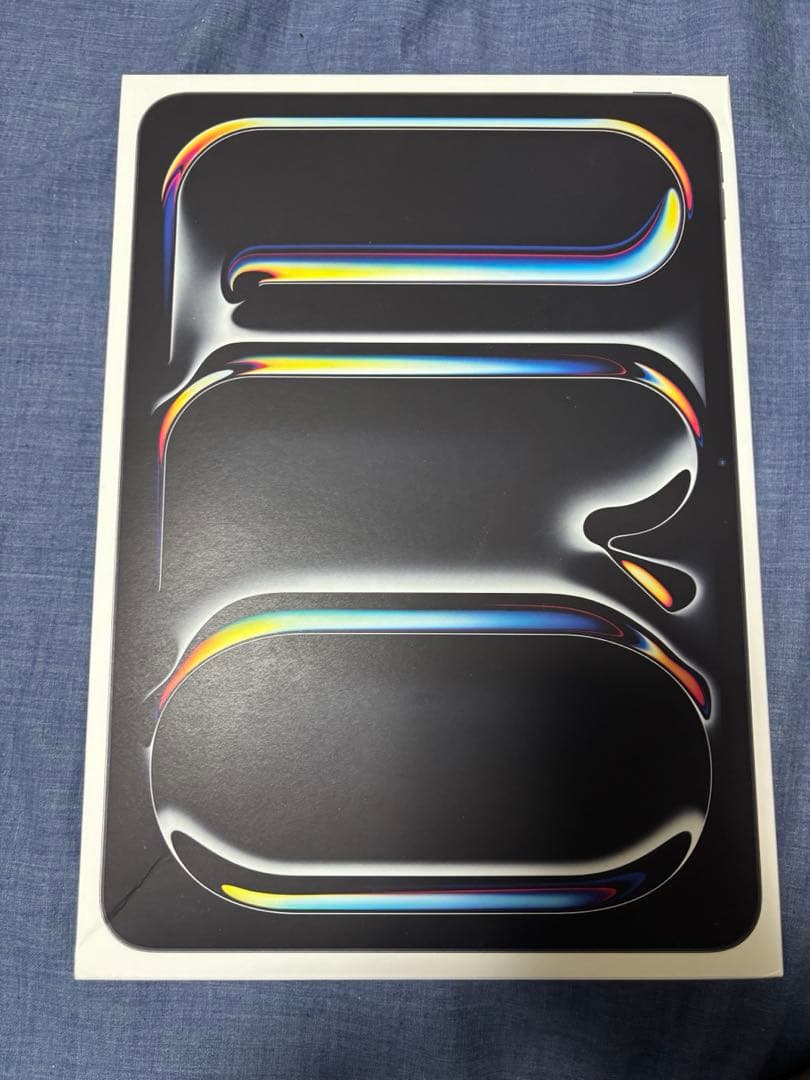 iPad Pro11 M4 256GB セルラー Pencil付