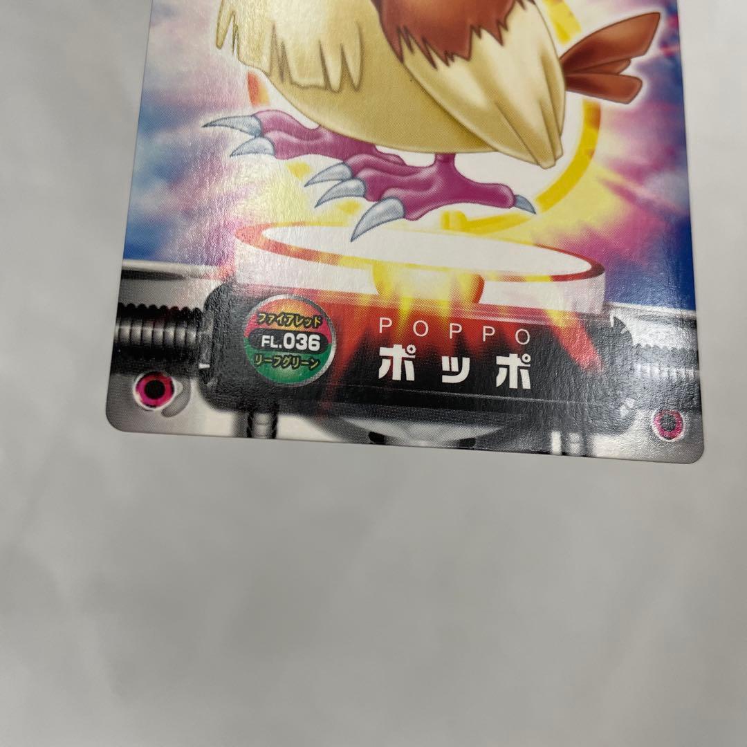 ポッポ　ピジョン　ピジョット　ポケモン　カードダス　アドバンス　アドベンチャー